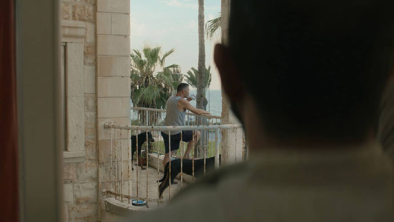 Mediterranean Fever backdrop