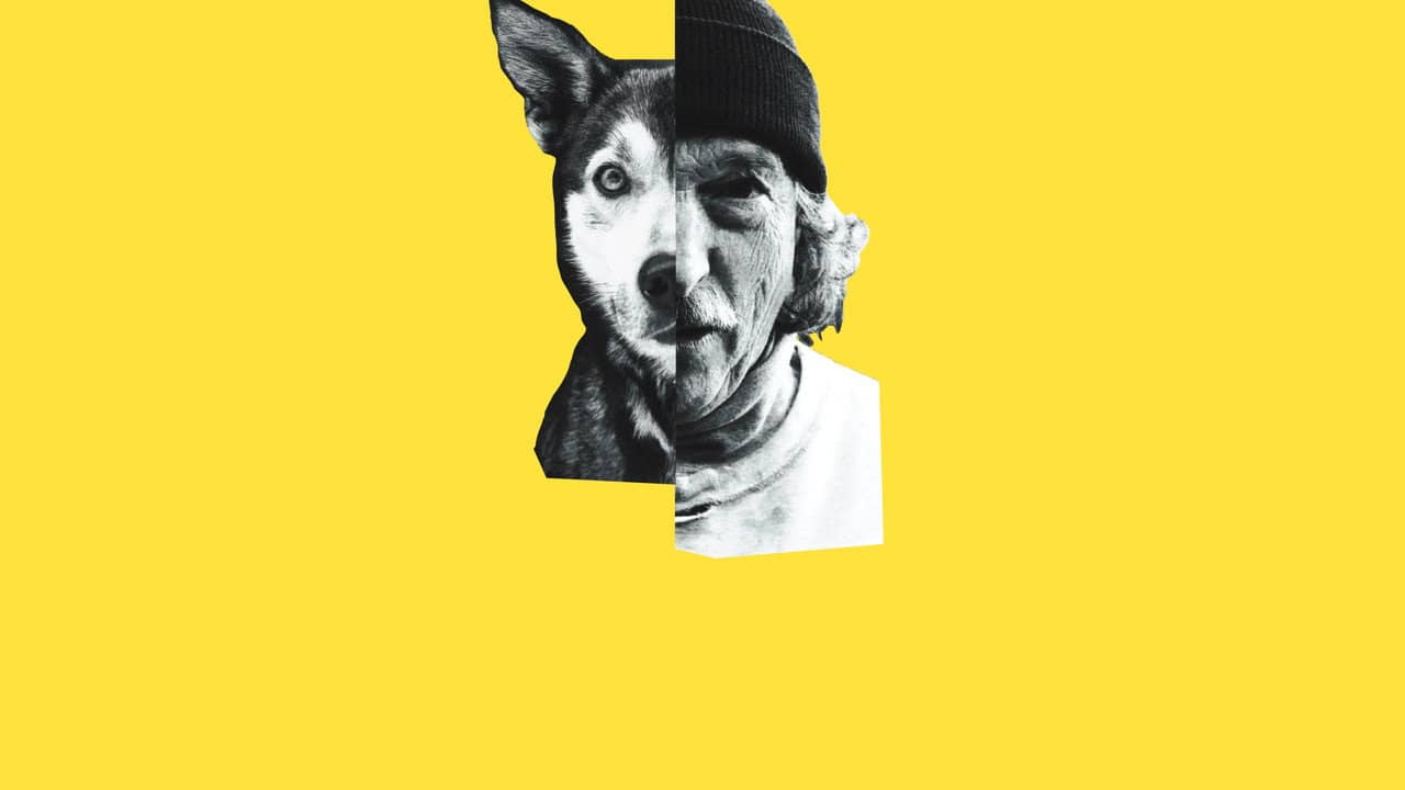 Underdog backdrop