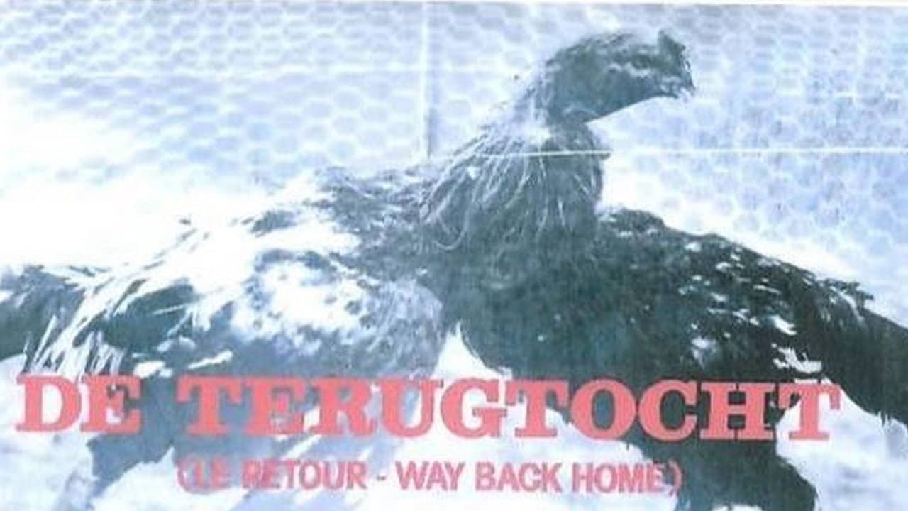 De Terugtocht backdrop