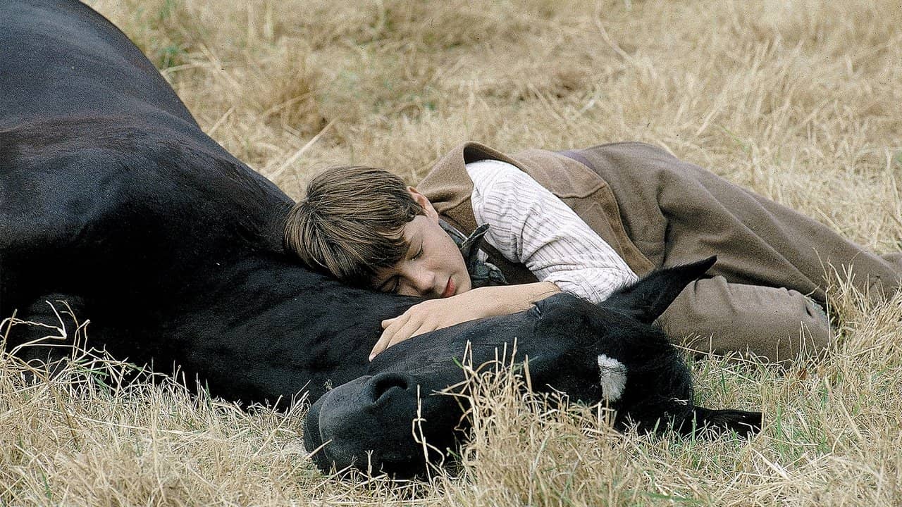 Black Beauty backdrop