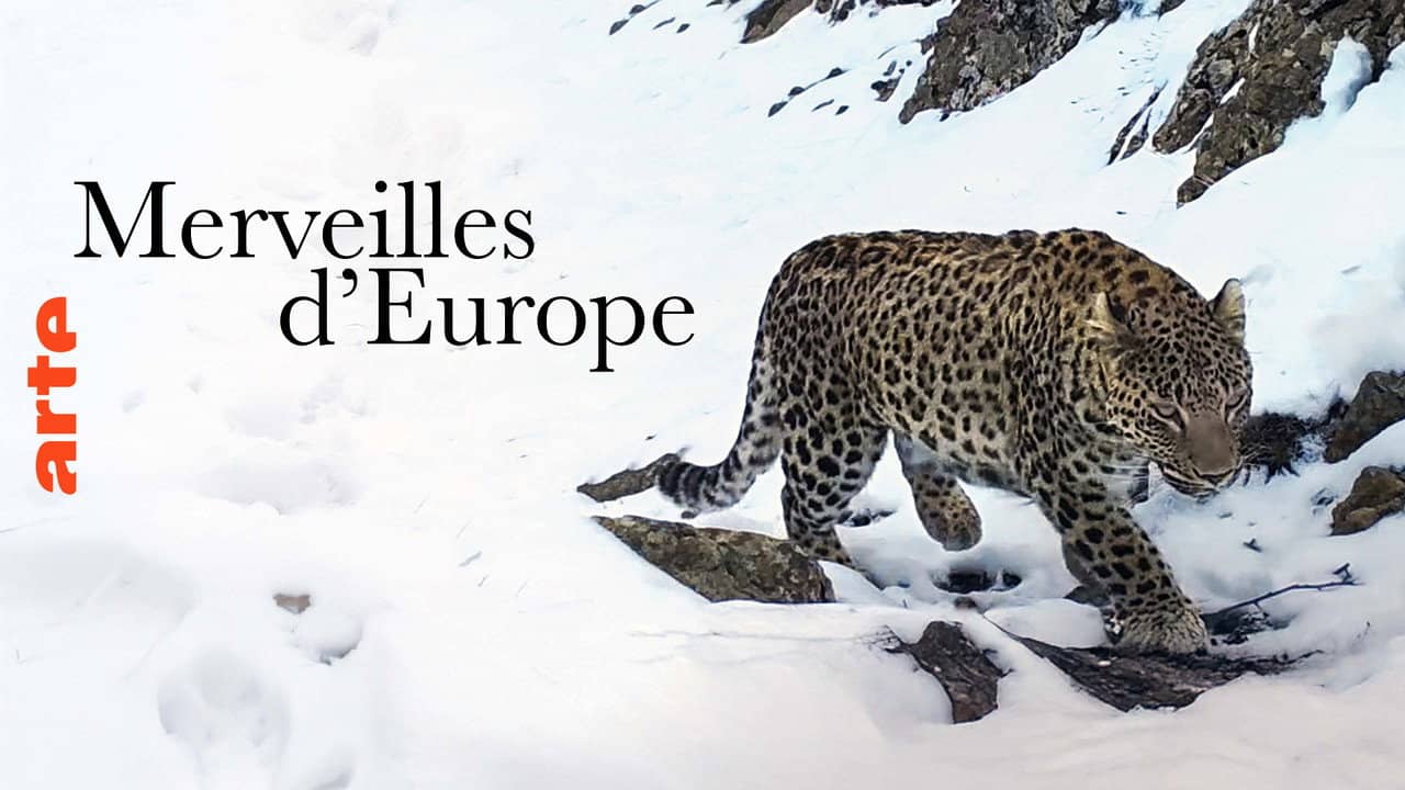 Merveilles d'Europe backdrop