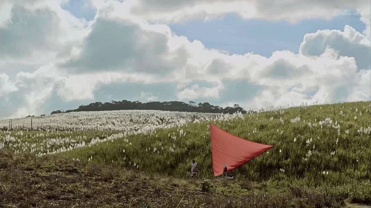 Açúcar backdrop