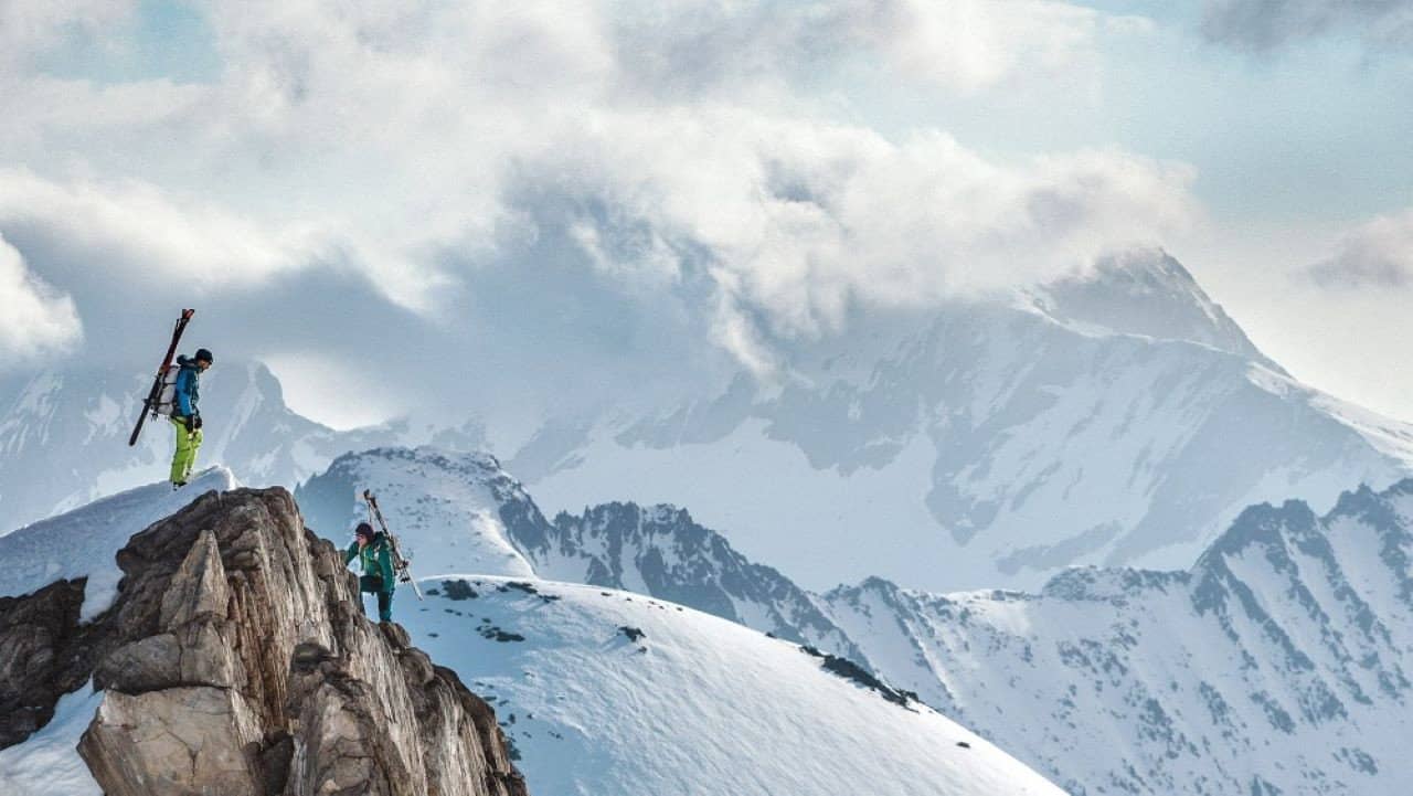 Jumbo Wild backdrop