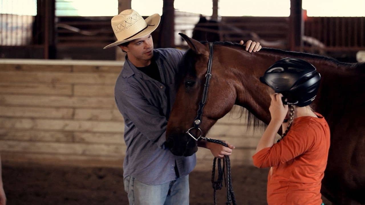 A Horse Called Bear backdrop