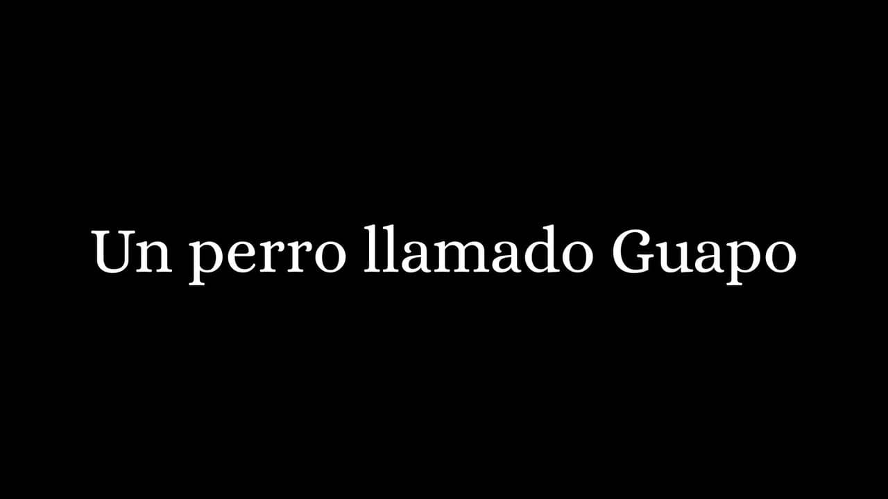 Un Perro Llamado Guapo backdrop