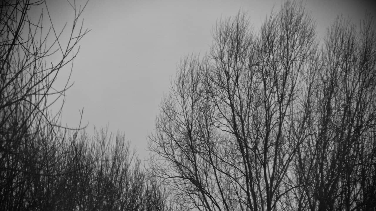 In Winter backdrop