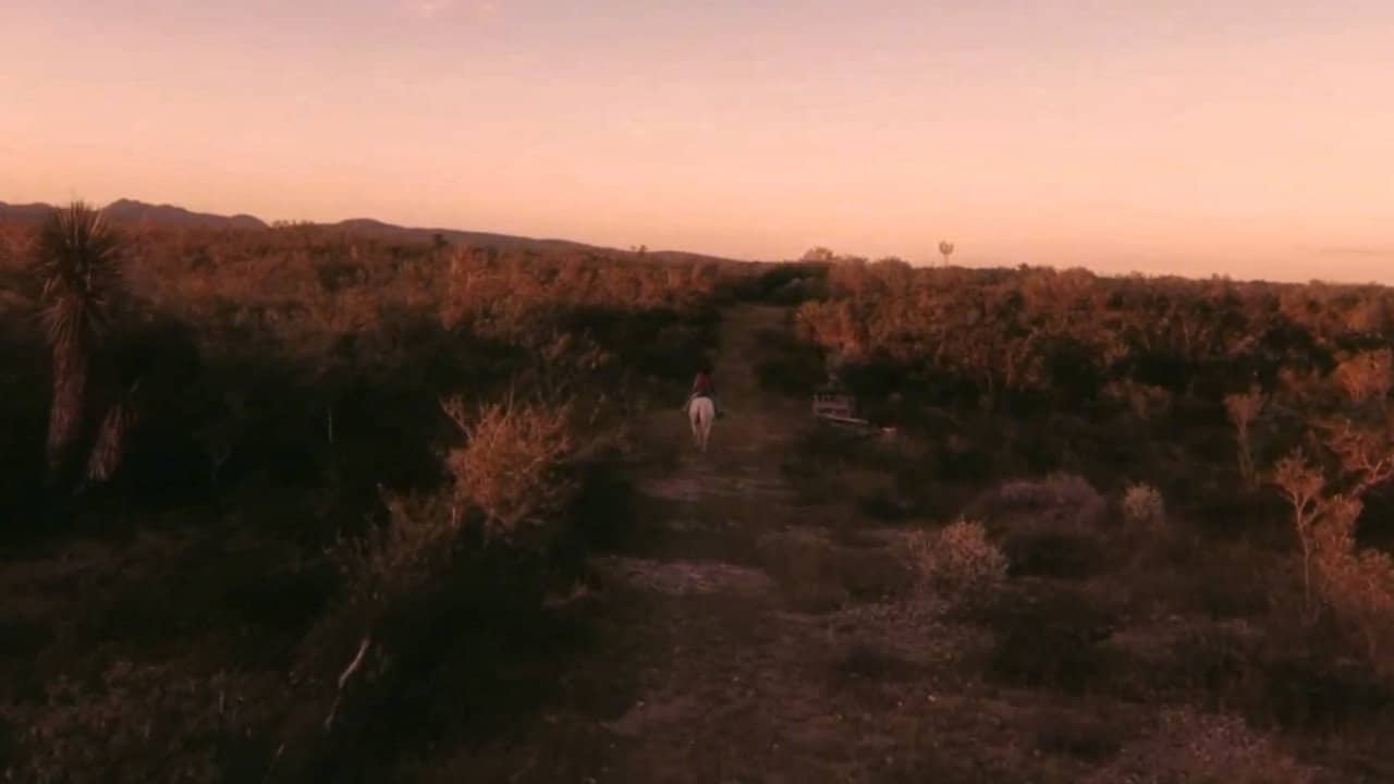 Vaqueros backdrop