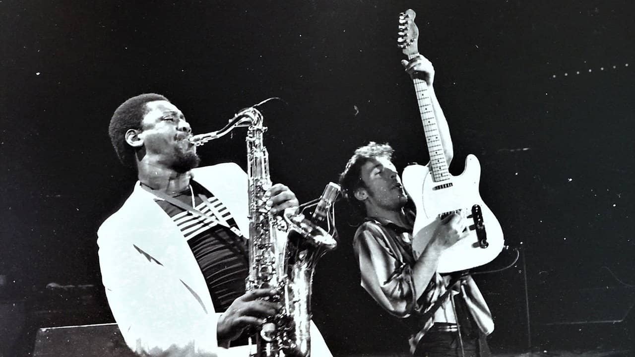 Bruce Springsteen & the E Street Band Houston '78 Bootleg: House Cut backdrop