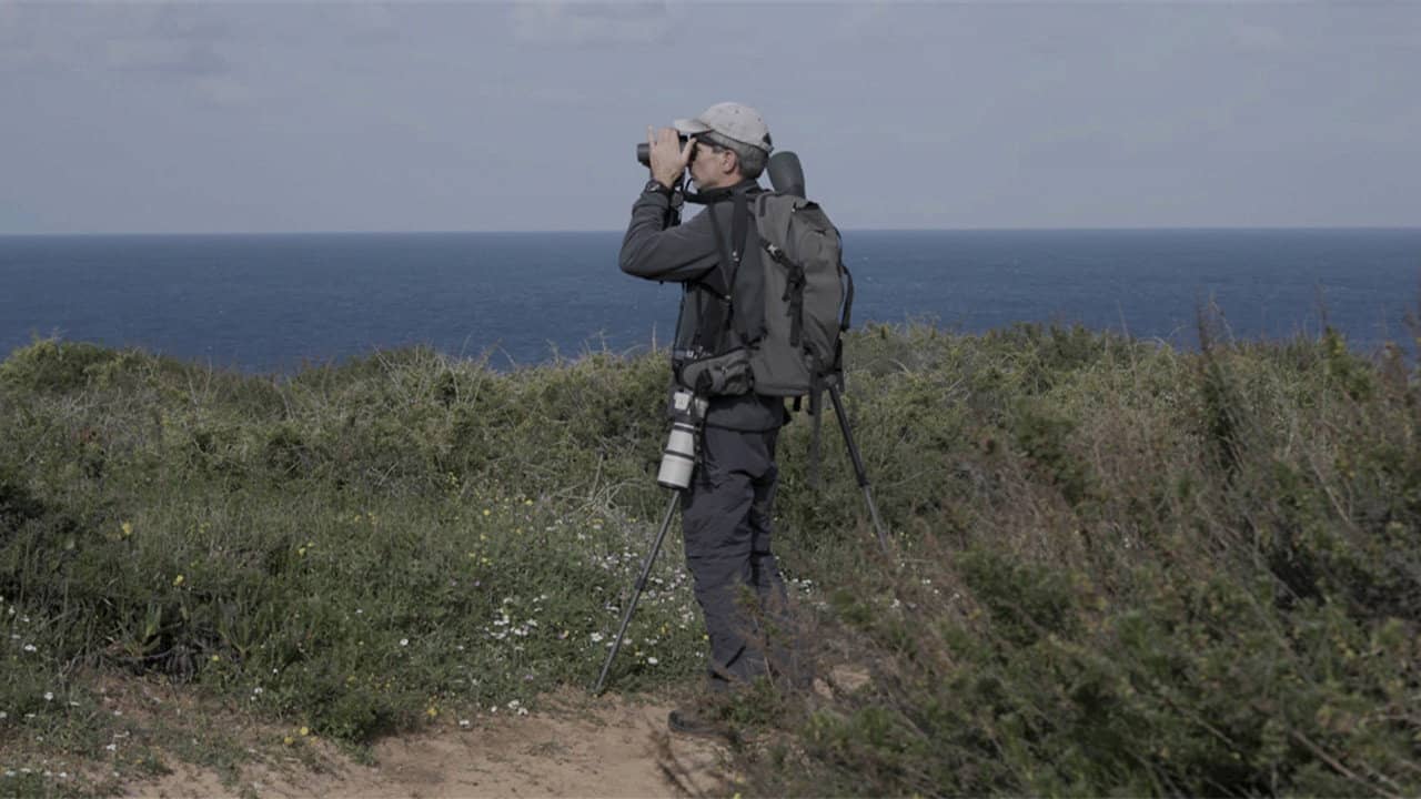 Observation Diary backdrop