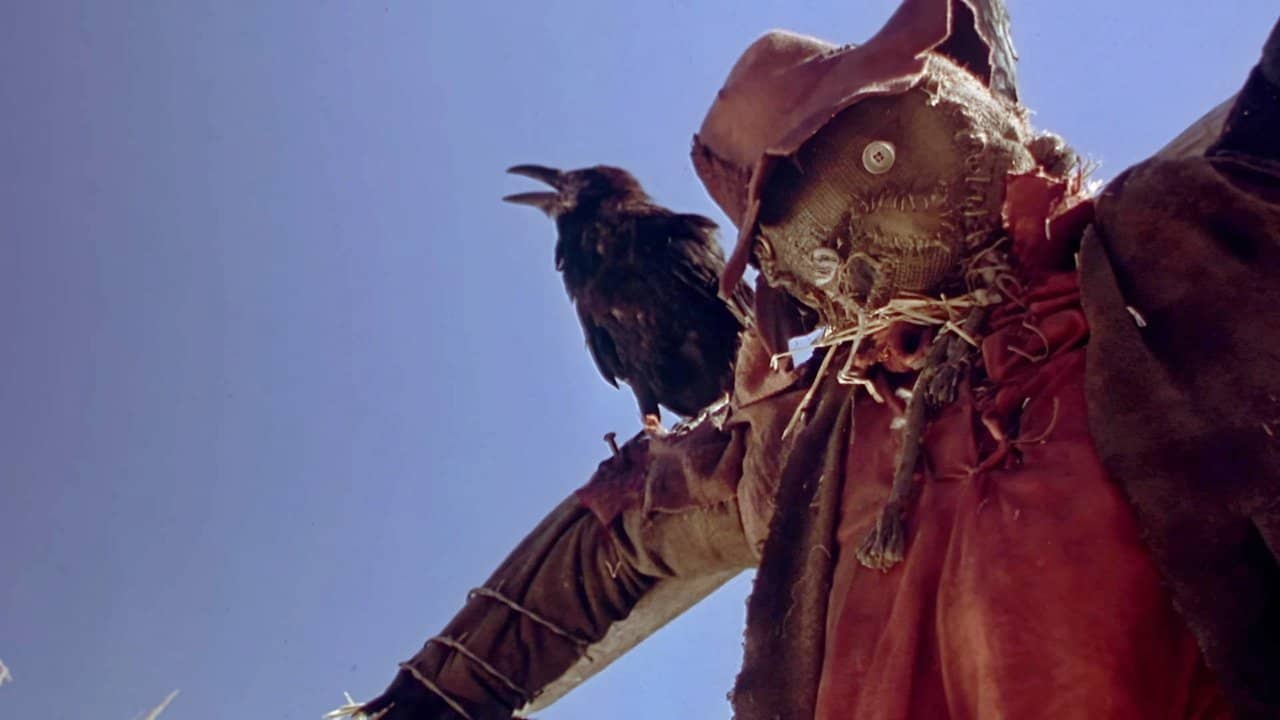 Night of the Scarecrow backdrop