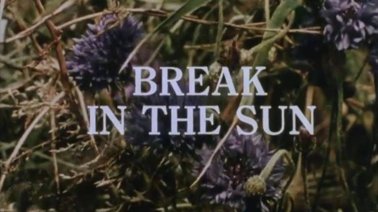 Break in the Sun backdrop