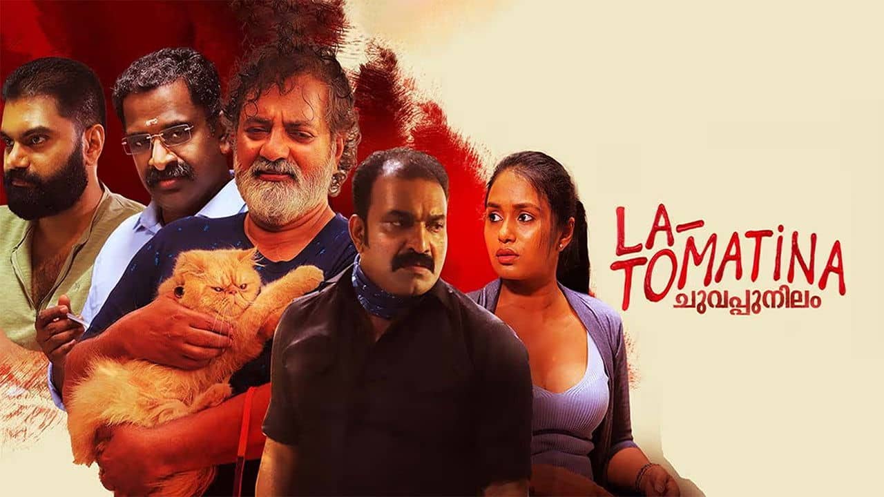 La - Tomatina backdrop