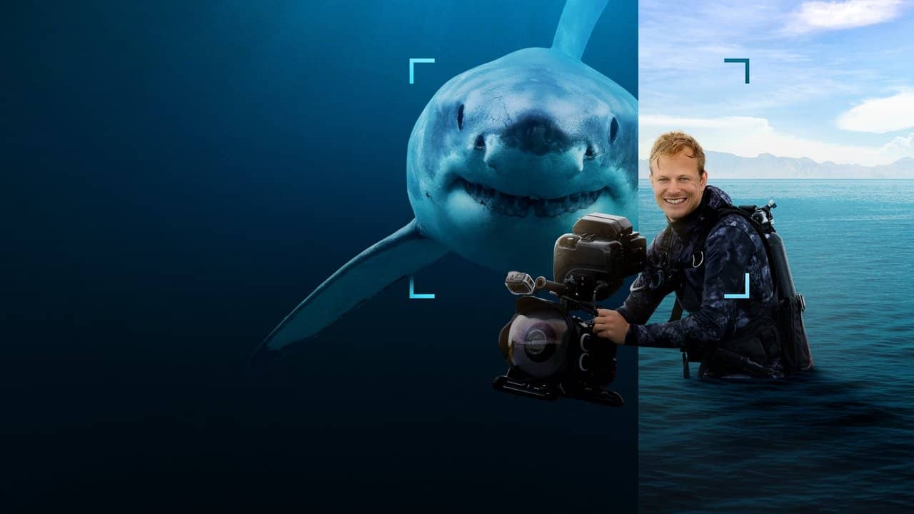 Sharks Up Close with Bertie Gregory backdrop