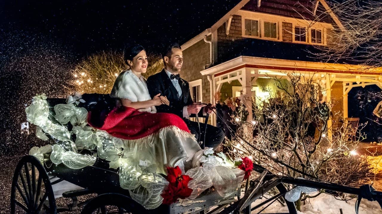 Marrying Father Christmas backdrop