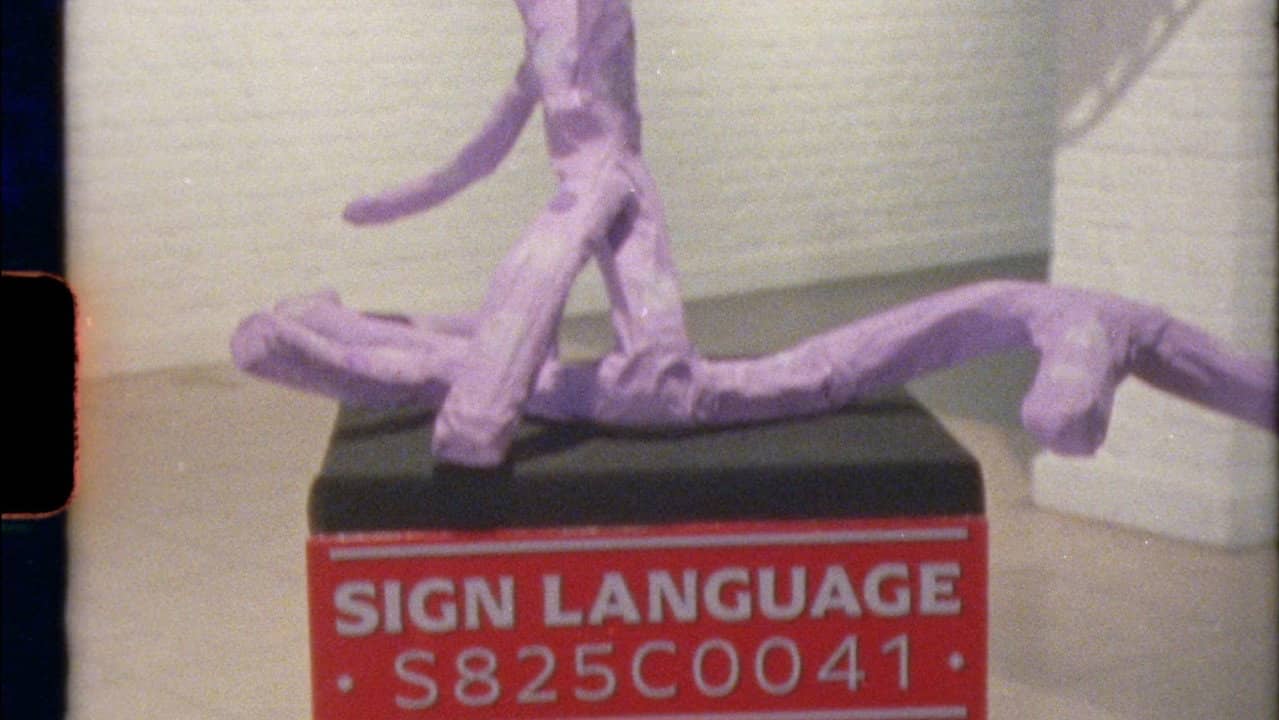 Sign Language backdrop