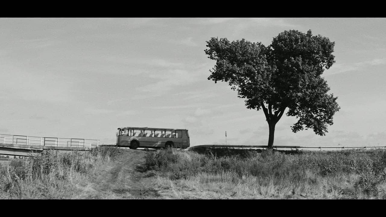 The Stop backdrop