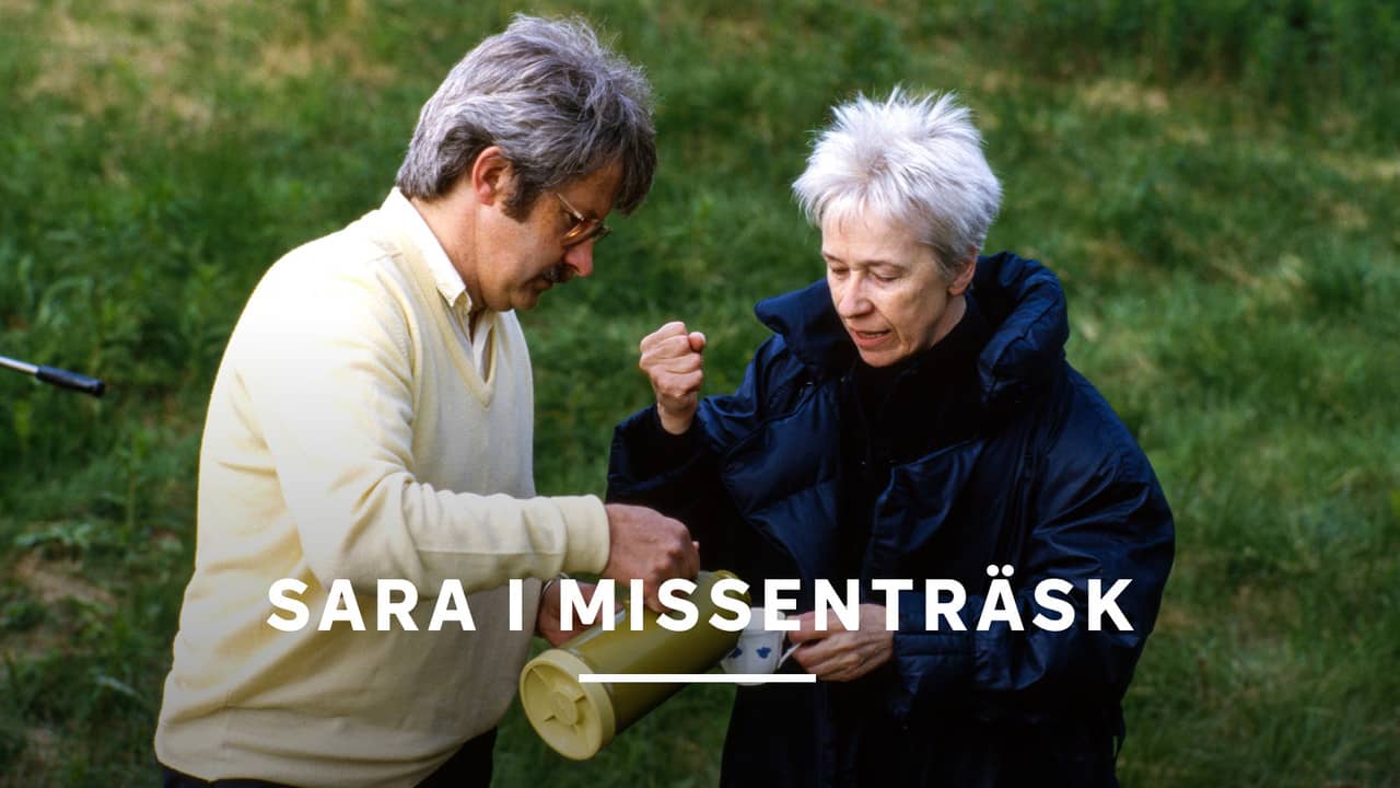 Sara i Missenträsk backdrop