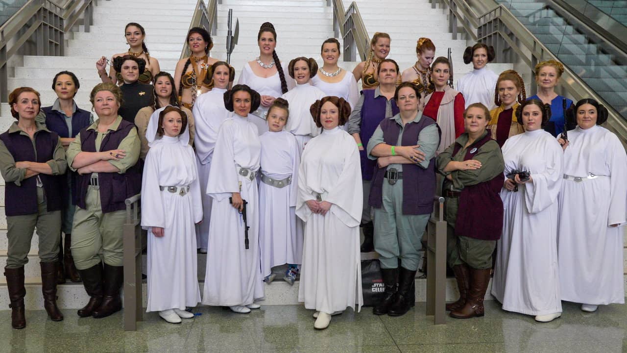 Looking for Leia backdrop