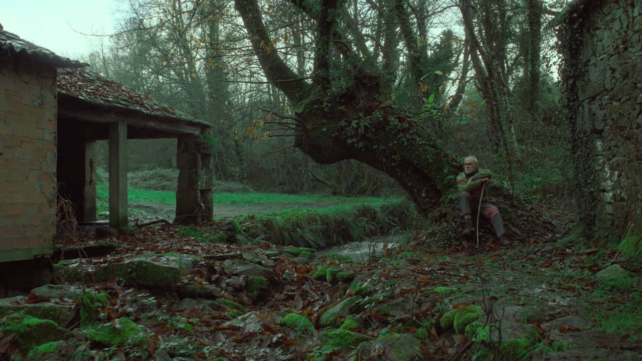 Under the Chestnut Tree backdrop