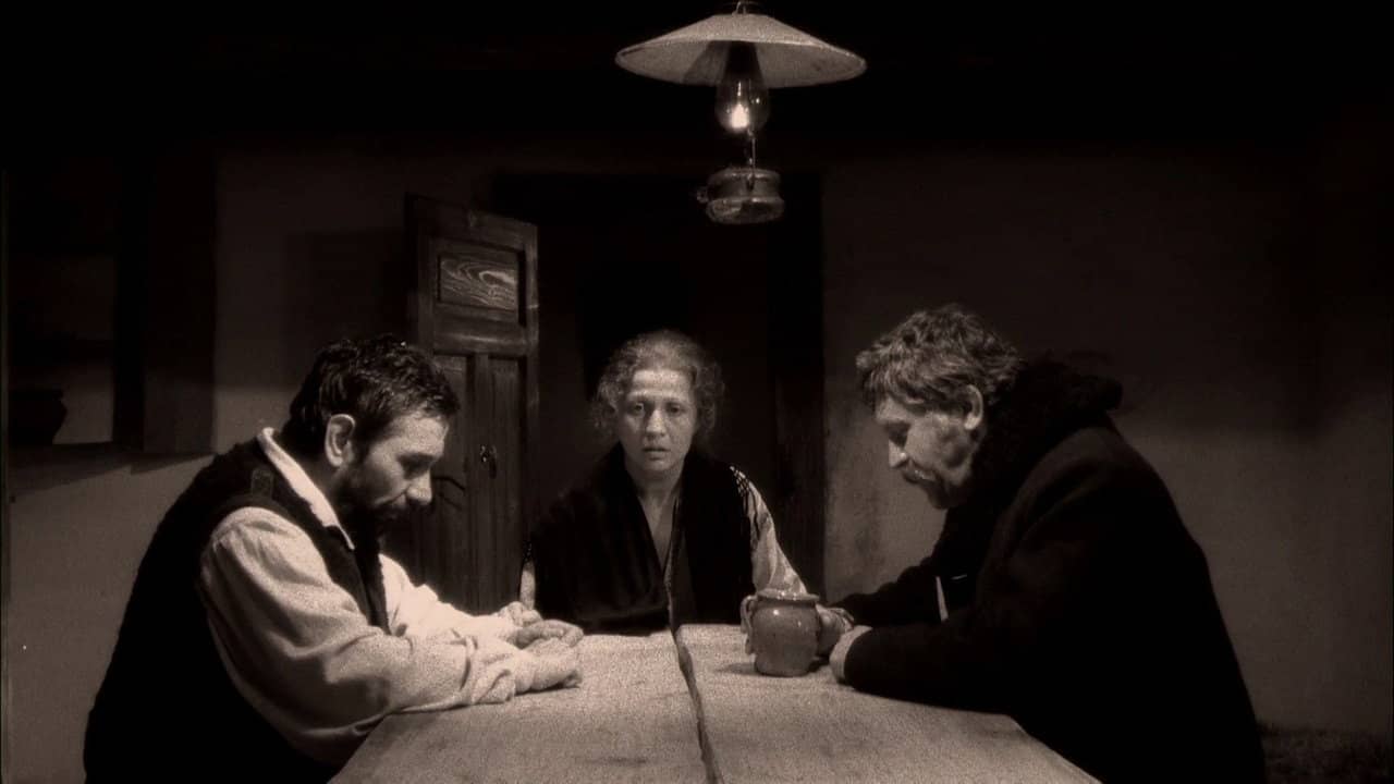 Năpasta backdrop