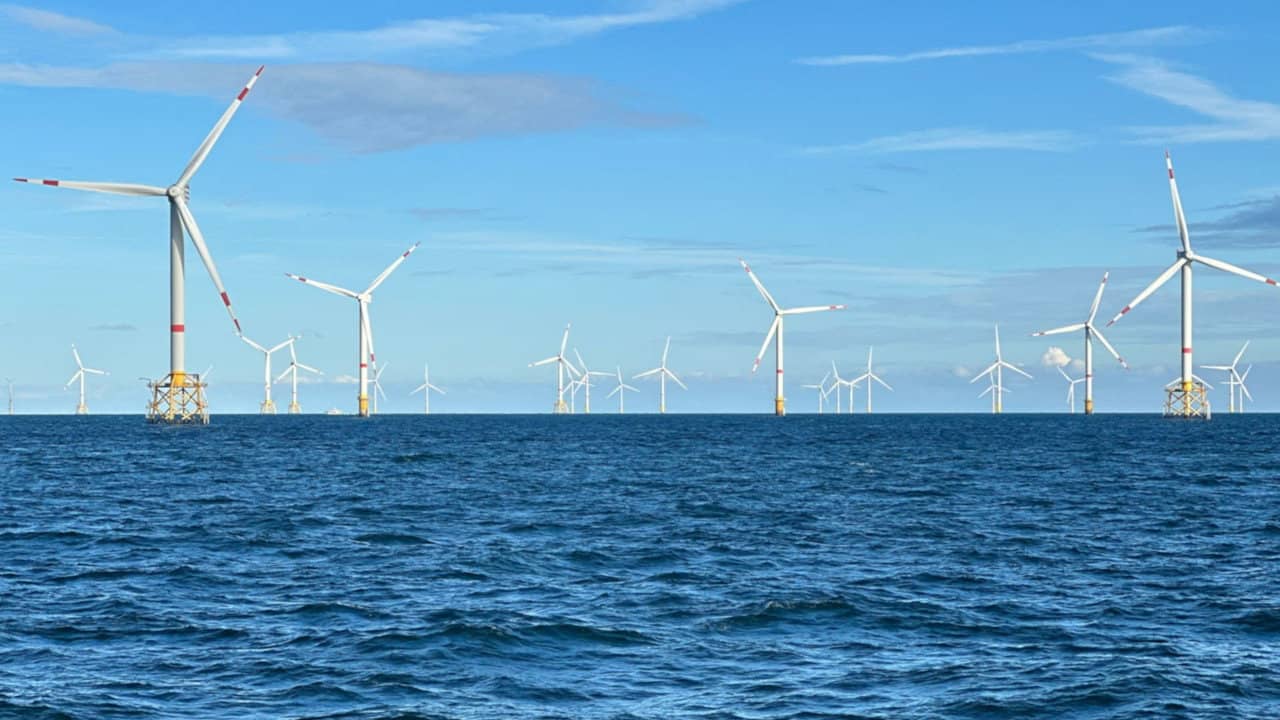 Windparks im Meer - Chance oder Risiko für die Natur? backdrop