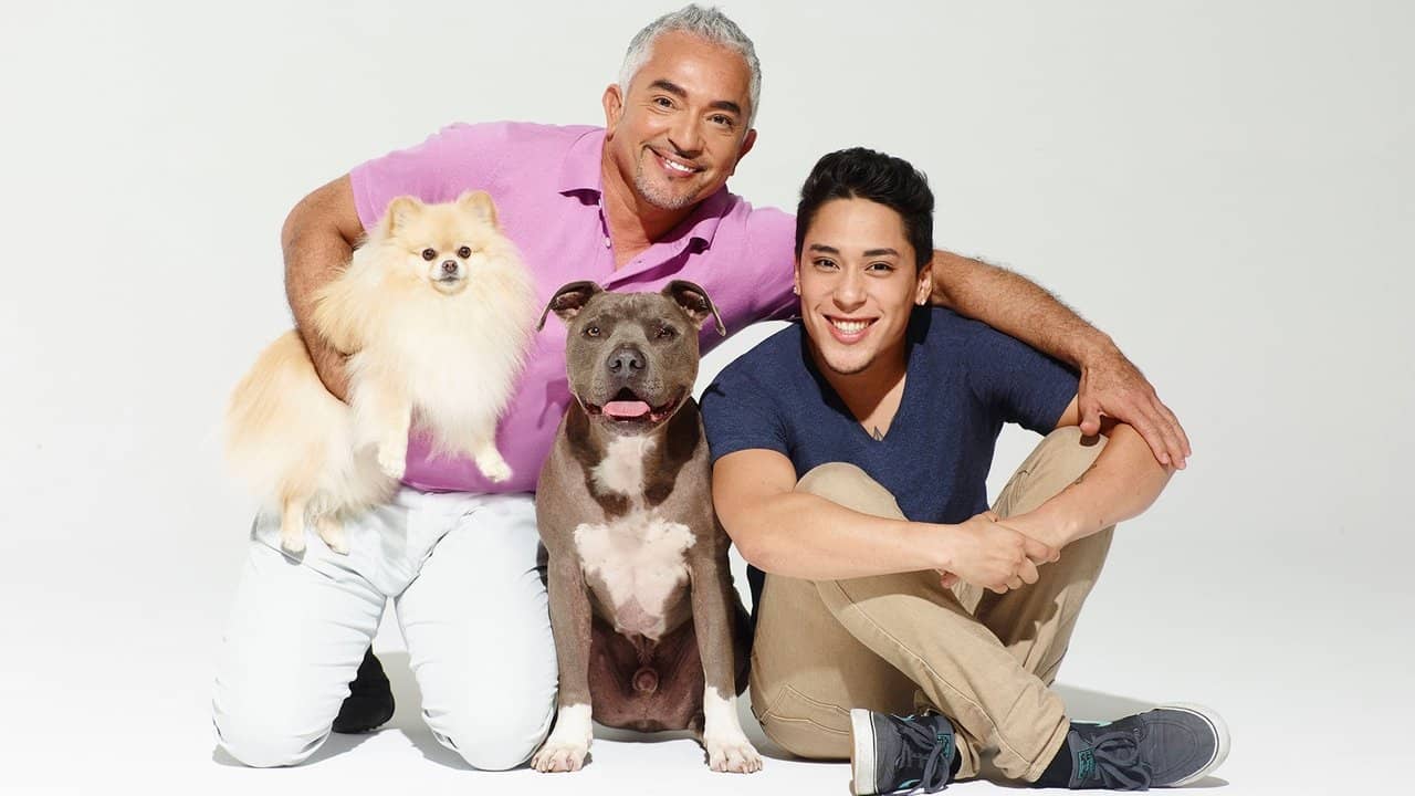 Cesar Millan's Dog Nation backdrop