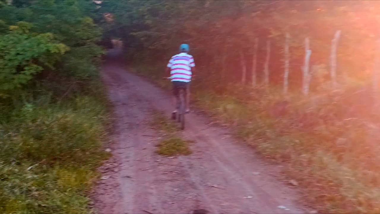 Me Dê Sua Mão, Iremos Para Floresta backdrop