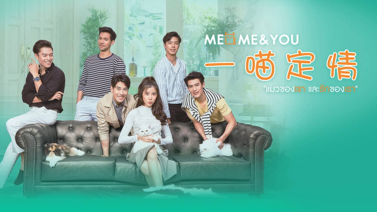 Meo, Me & You backdrop