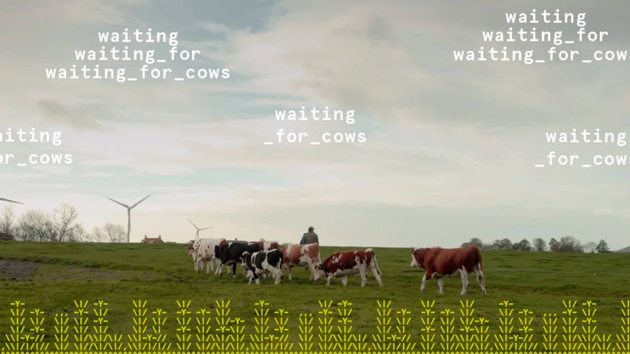 waiting_for_cows backdrop