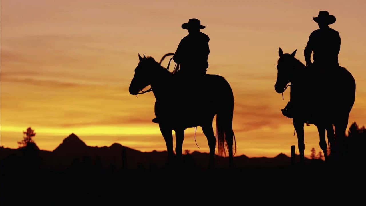 The Cowboy backdrop