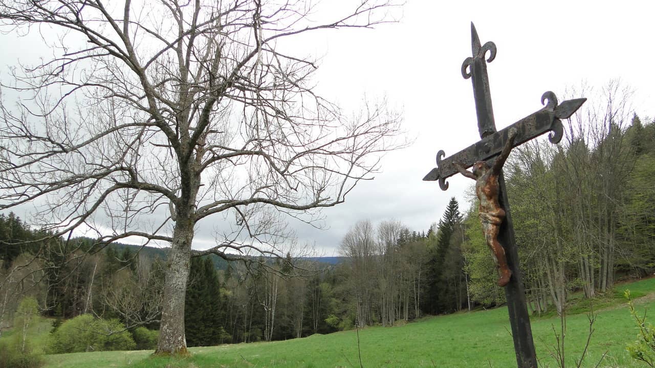 Šumava Vladimíra Horpeniaka backdrop