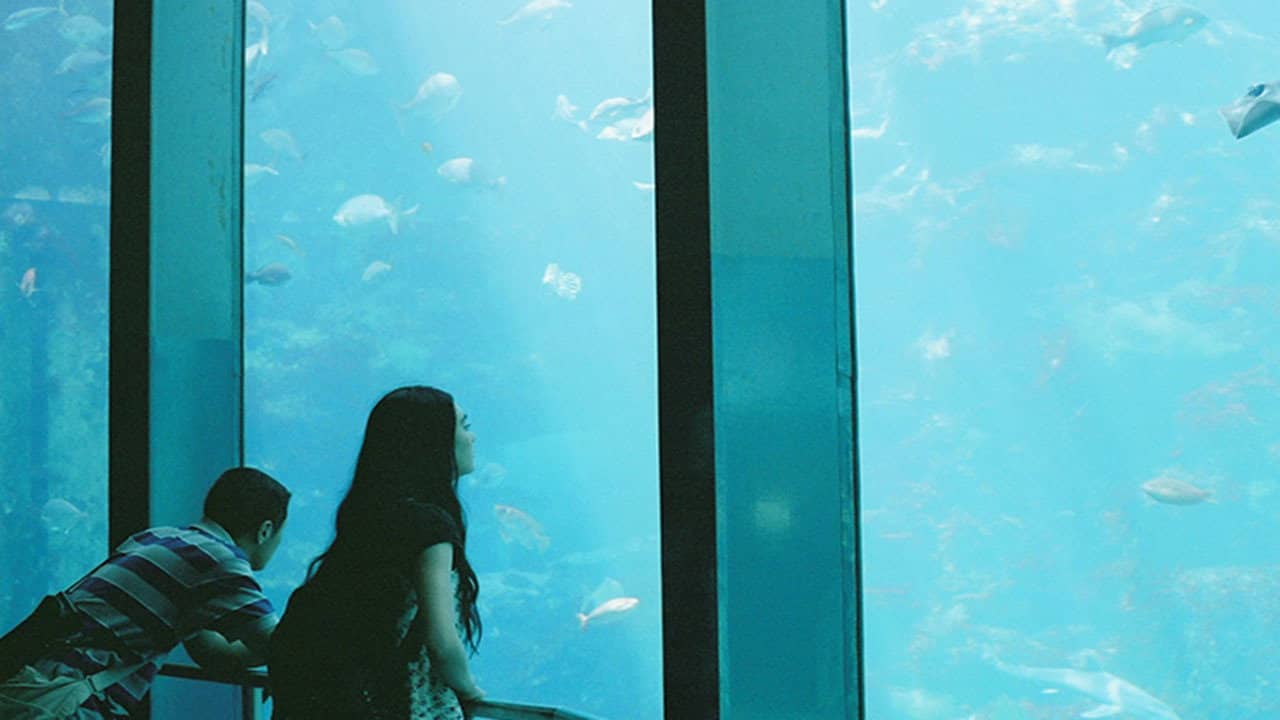 A Song I Remember backdrop
