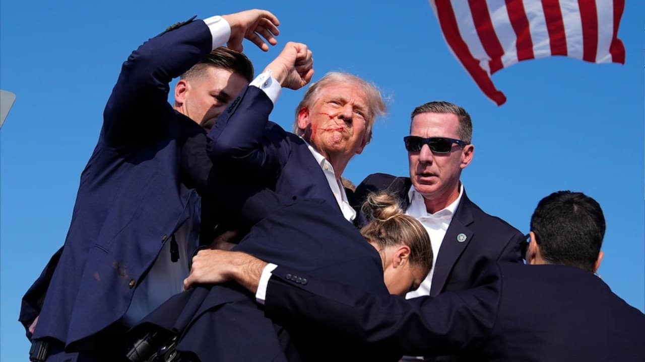 Vindicating Trump backdrop