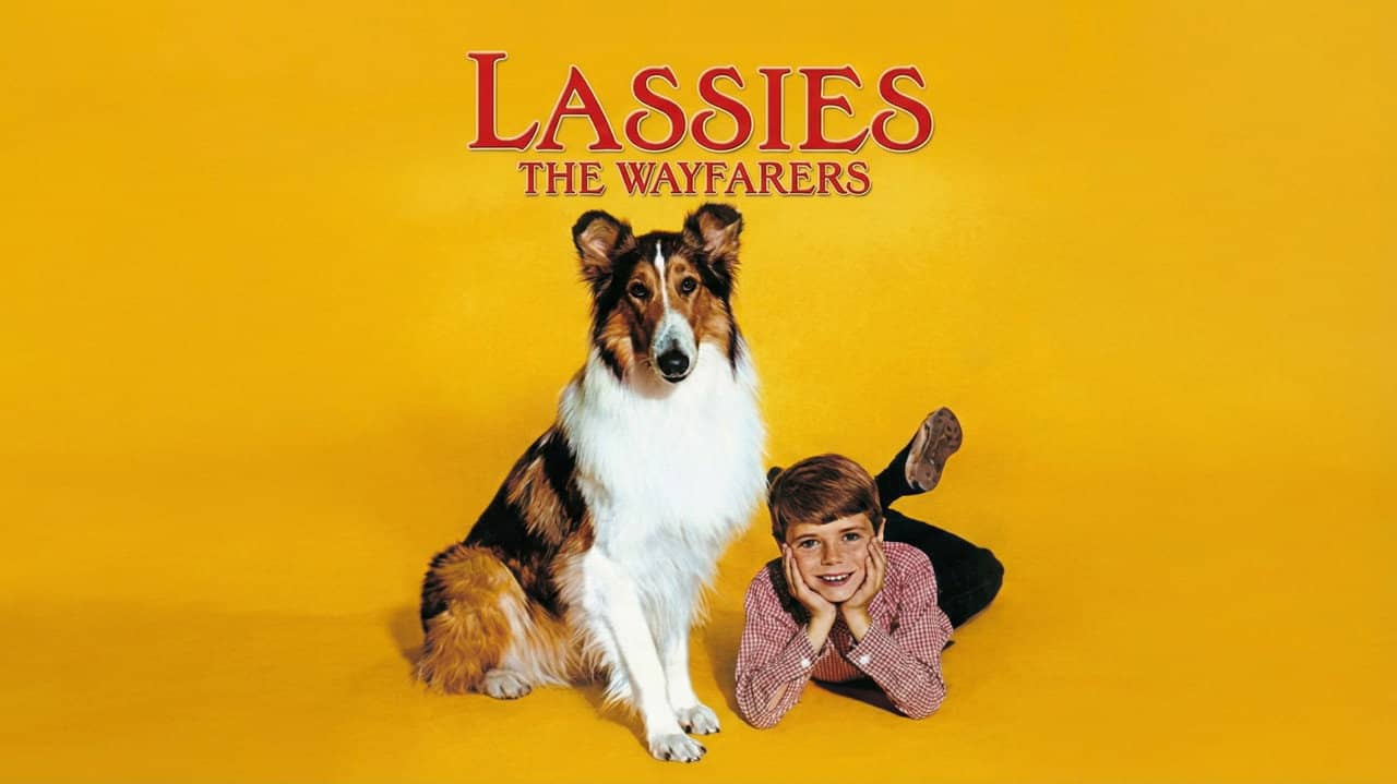 Lassie: The Wayfarers backdrop