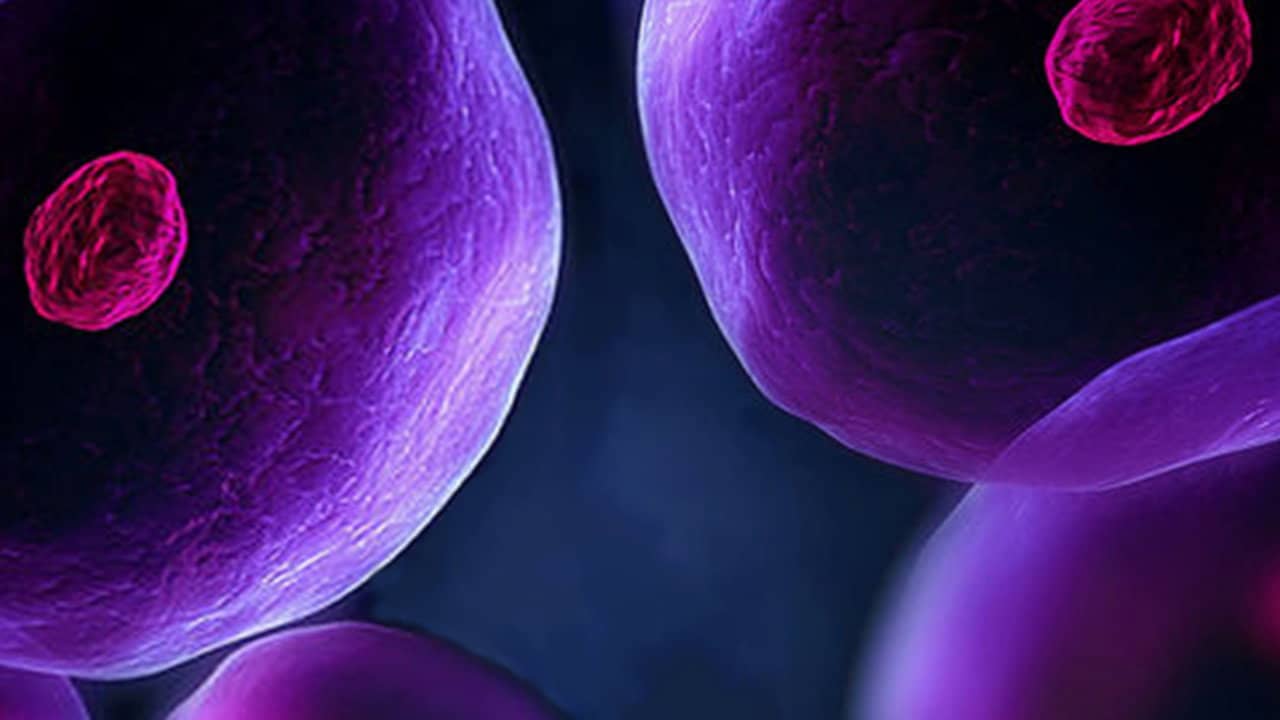 The Cell backdrop