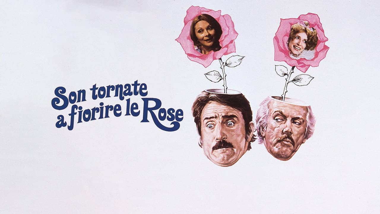 Son tornate a fiorire le rose backdrop