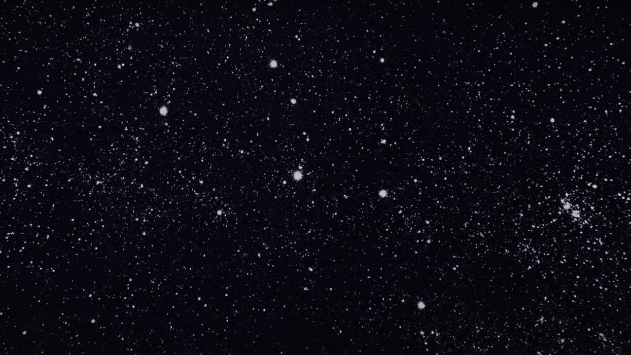 Untitled backdrop