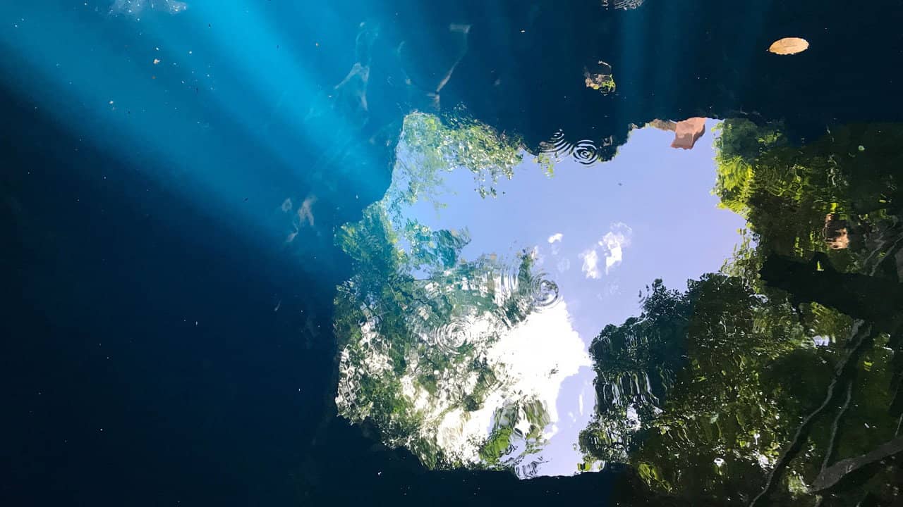 Cenote backdrop