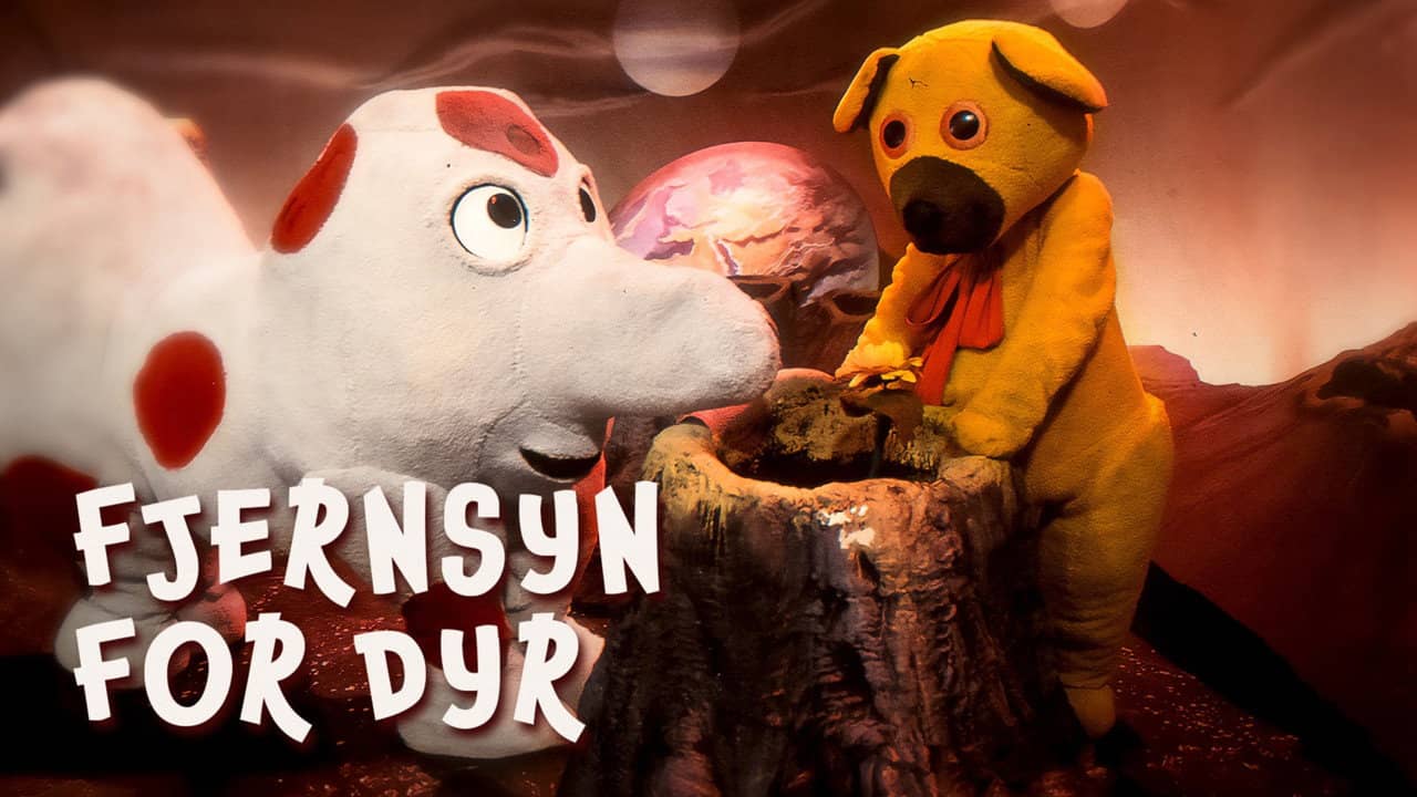 Bamse on the Planet backdrop