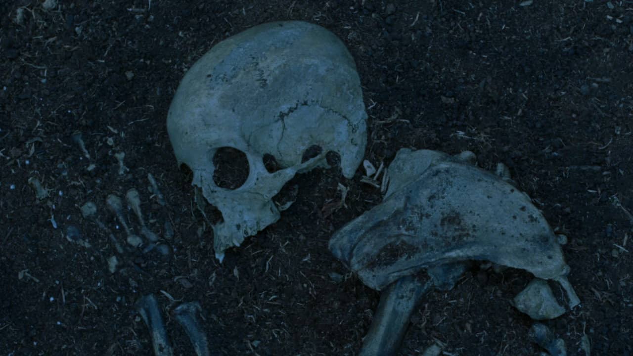 Bones backdrop