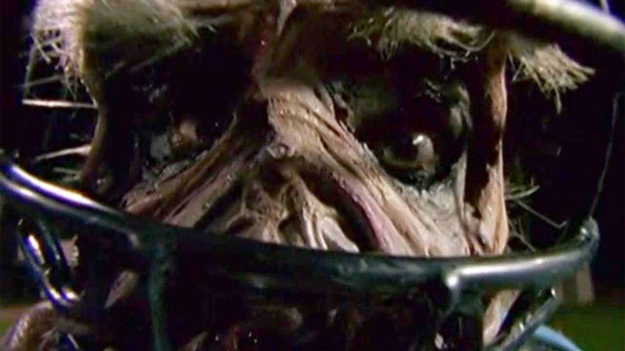 Goosebumps: Chillogy backdrop