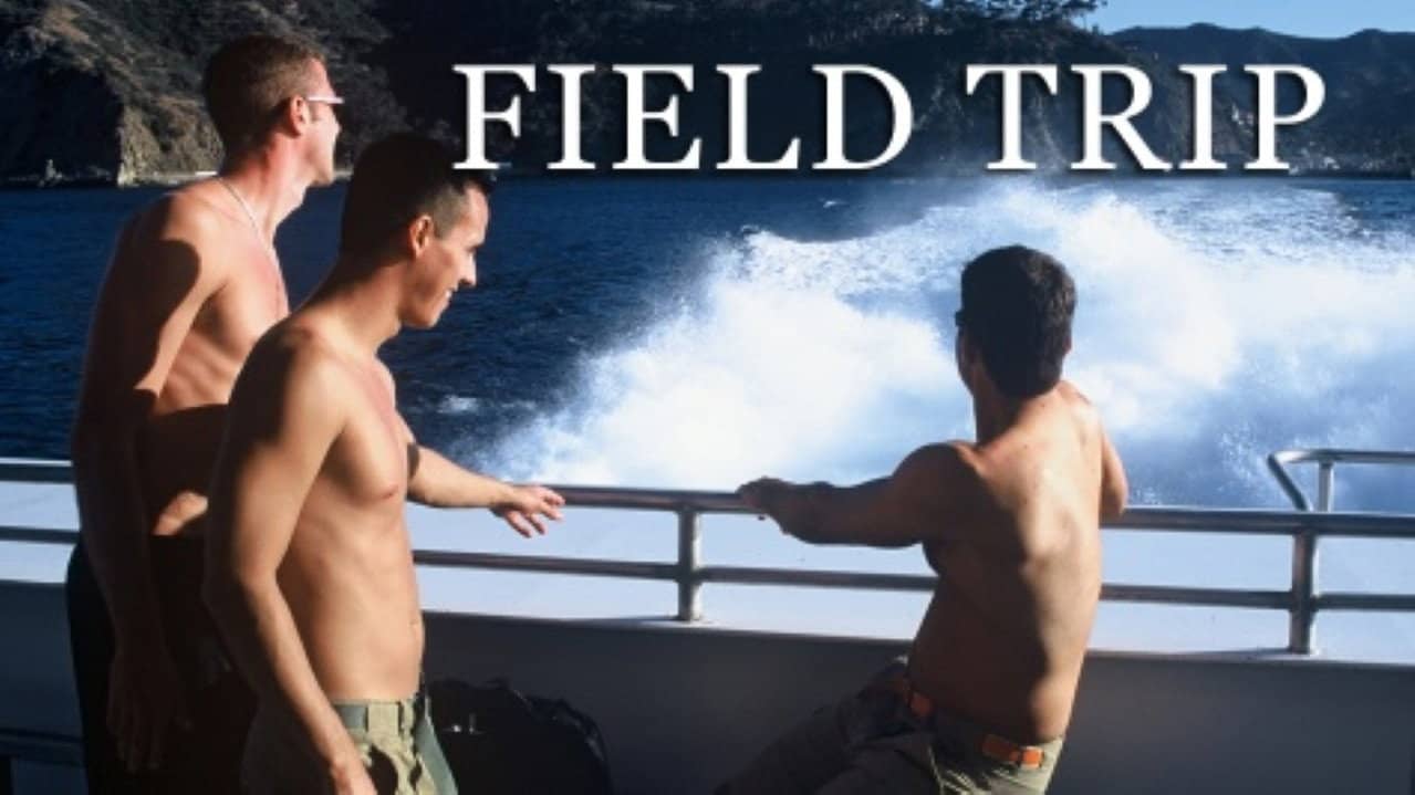 Field Trip backdrop