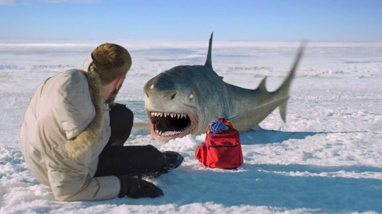 Ice Sharks backdrop