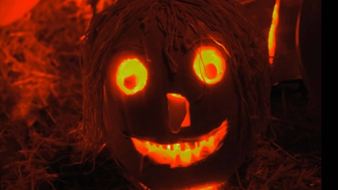The Haunted History of Halloween backdrop