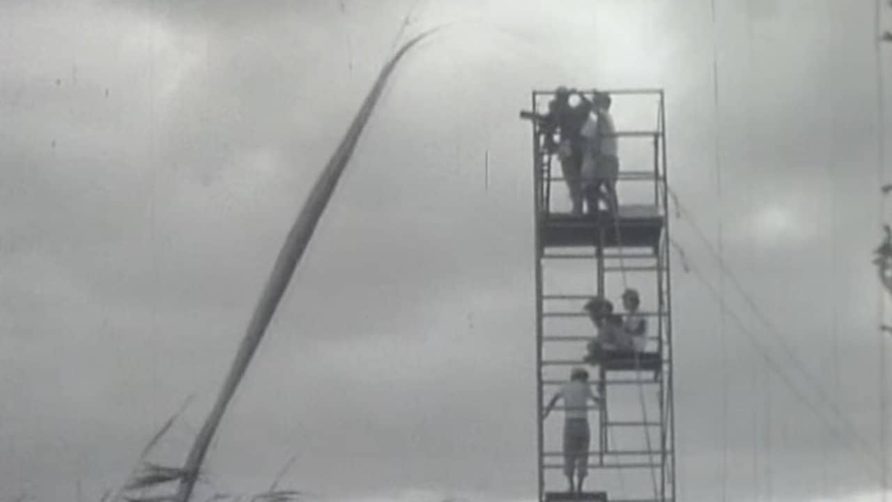 Onibaba : Film Location backdrop