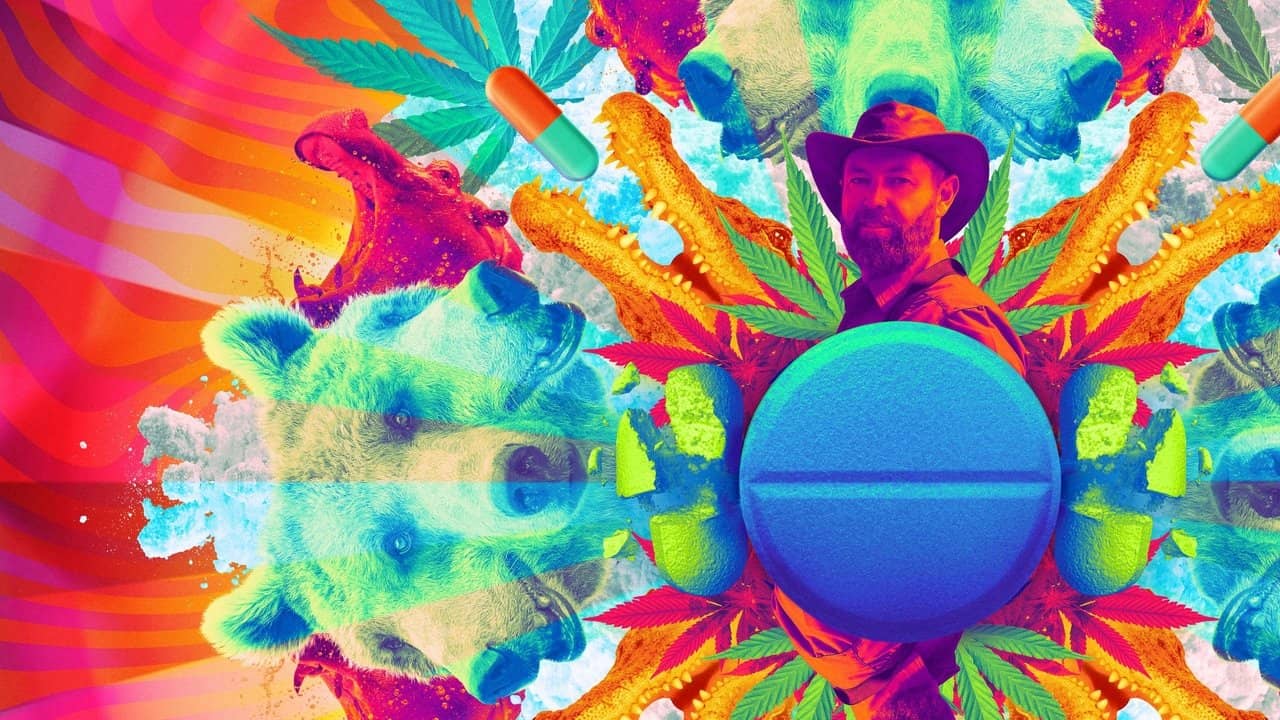 Animals on Drugs backdrop