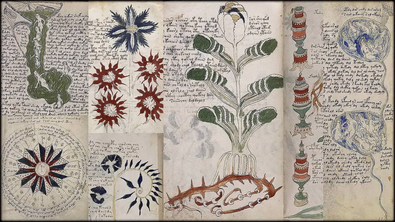 Das Voynich-Manuskript - Die geheimnisvollste Handschrift der Welt backdrop