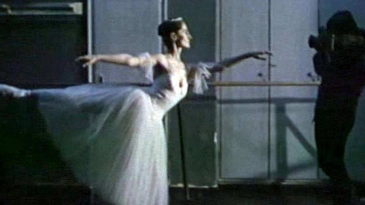The Black Swans backdrop
