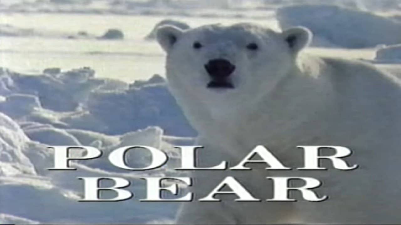 Predators of the Wild: Polar Bear backdrop