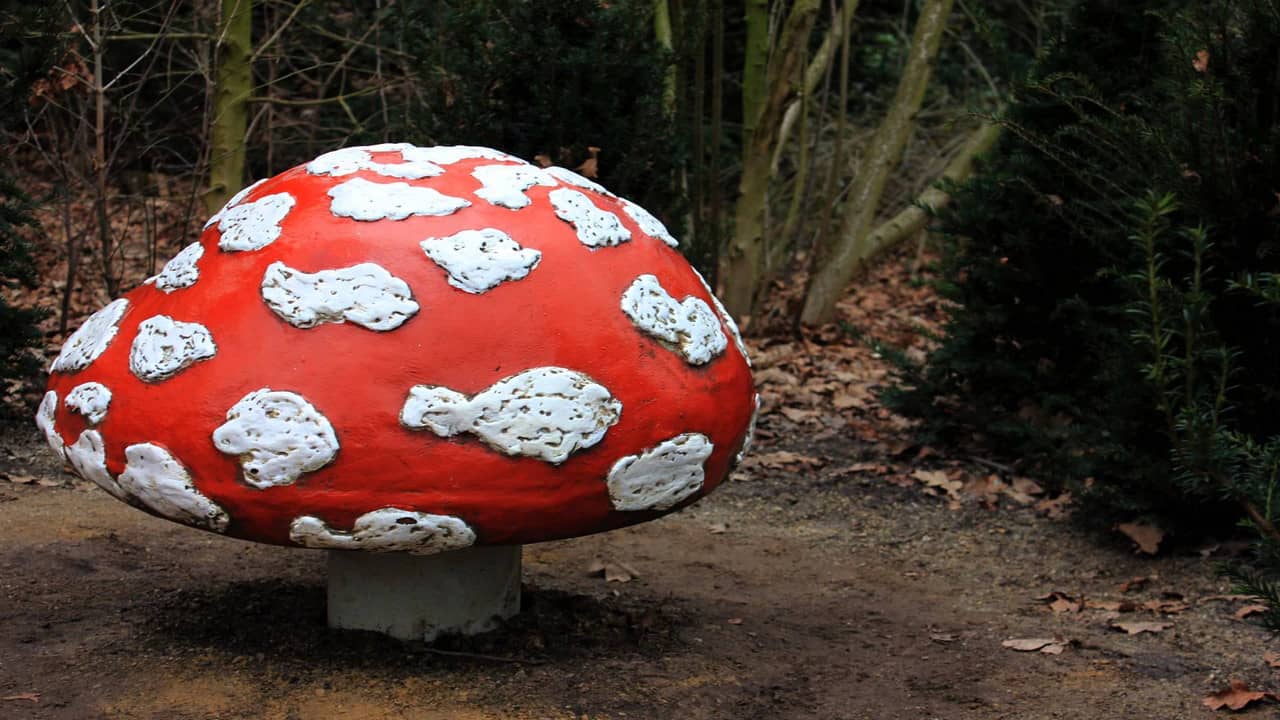 Efteling: Hier Werk Ik backdrop
